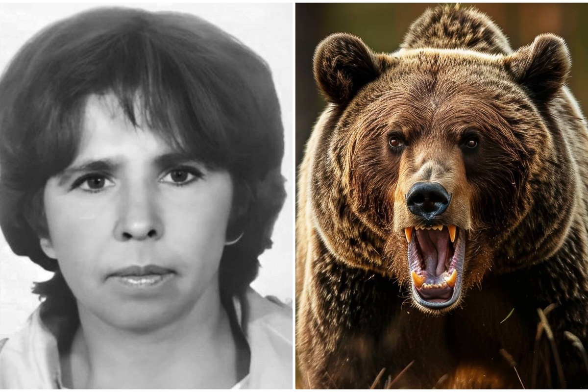     «Растерзал медведь»: россиянка Полина Вышегородцева погибла на Калым-горе