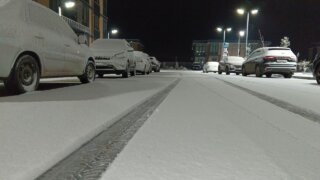    Людмила Лата Юлия Виноградова