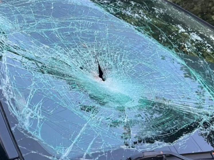     Фото: пресс-служба ГУ МВД по Петербургу и Ленобласти (архив).