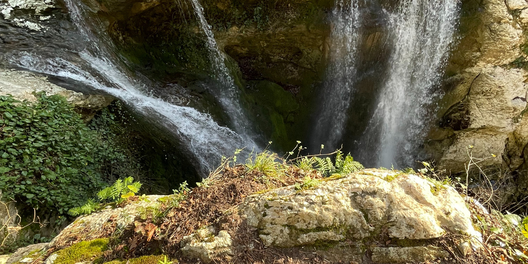 Сочи без гида: самостоятельные путешествия на автобусе №120