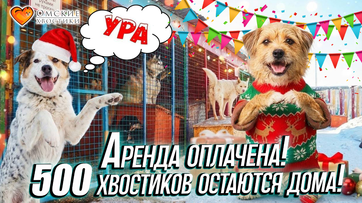 500 хвостиков остаются дома! УРА!