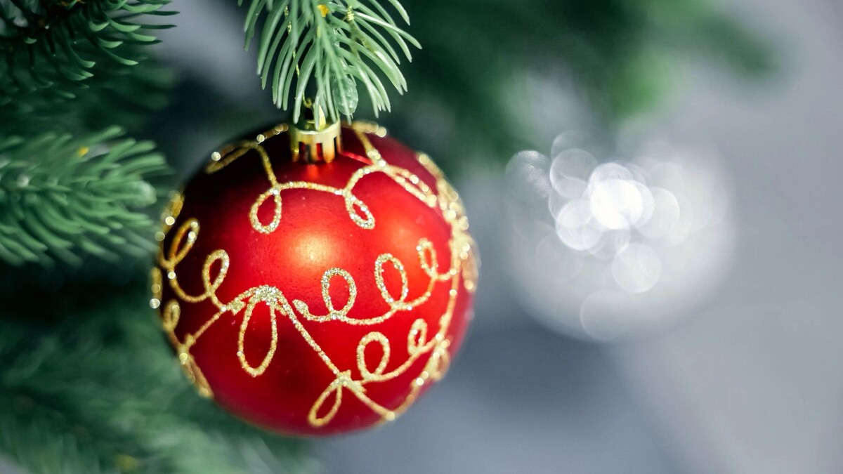    Фото: Андрей Ткачев/«Ямал-Медиа»