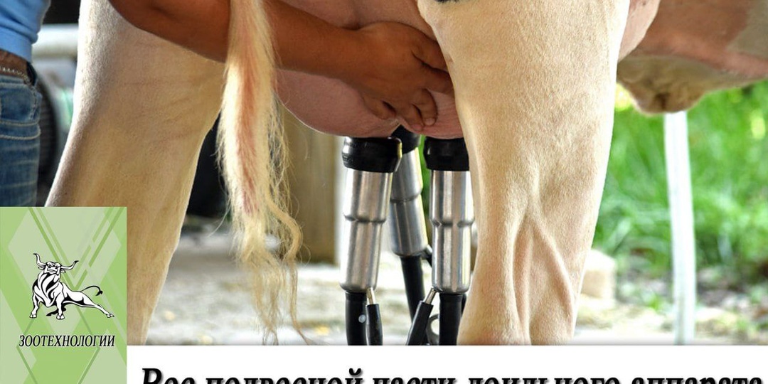 Вес подвесной части доильного аппарата