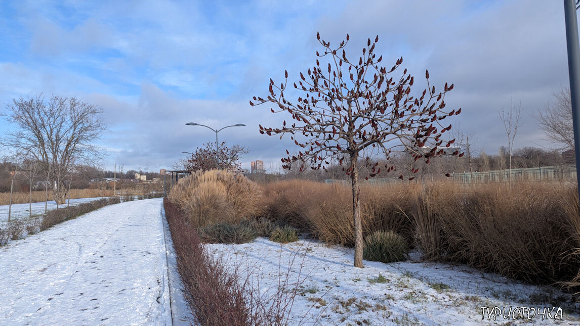 Зимний пейзаж в парке Первая Миля