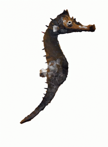 изображение взято из открытых источников в сети "Интернет" находящися в отрытом доступе и принадлежит его создателю.