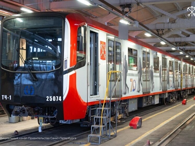     Фото: канал Правительства Санкт-Петербурга в телеграме.