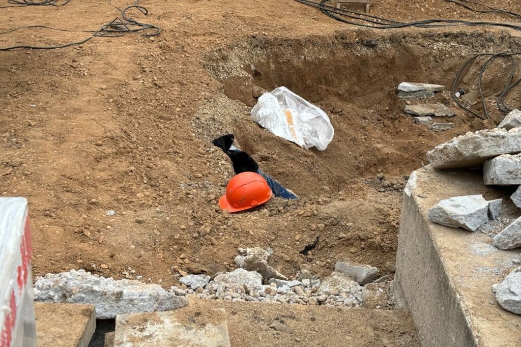    Фото: smolnarod.ru