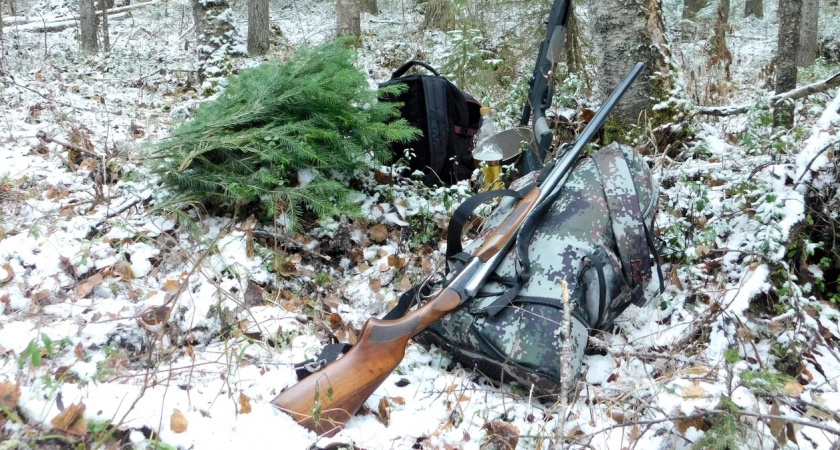    Фото Вячеслав Вольгин