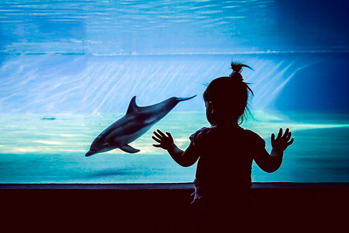 Мы постоянно неосознанно «примеряем» состояние другого, чтобы понять его