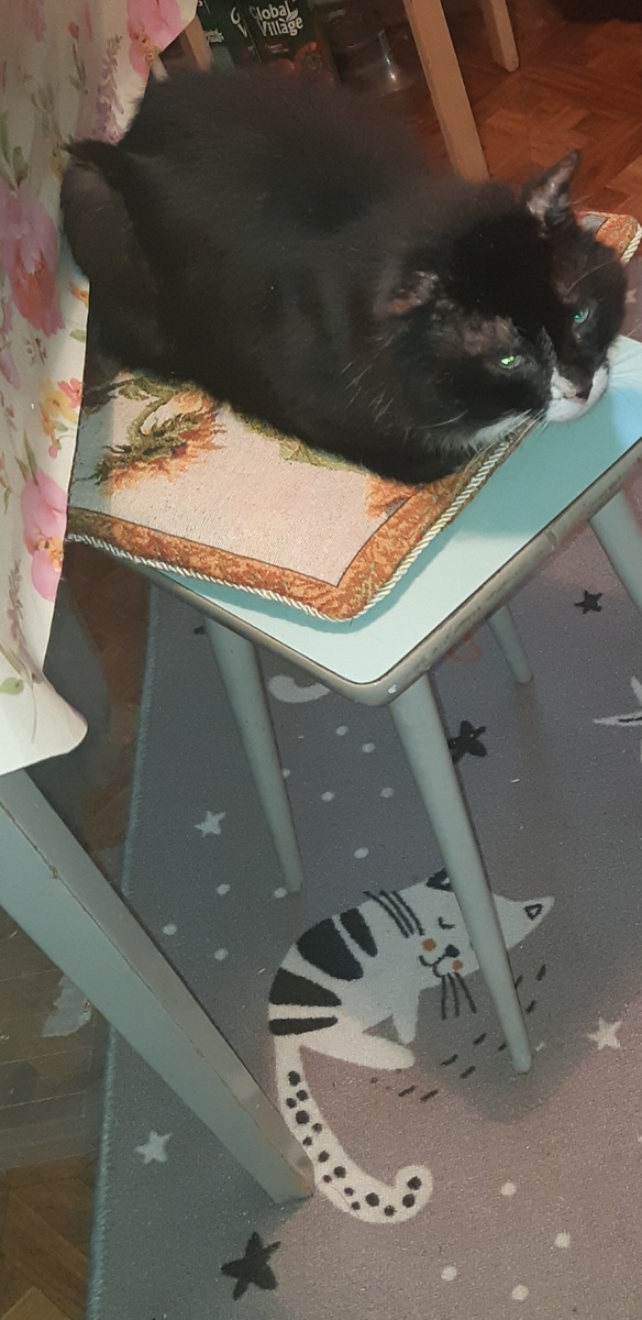 -"Ты да я, да мы с тобой, ты да я, да мы с тобой здорово, когда на свете есть друзья!" -"Ага, это точно!"