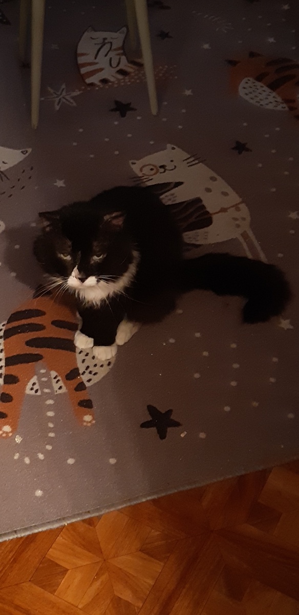 -"Чего встали-то?" -"Так ты же орал!" -"Так я для порядку!" -"Ну, уже встали, сейчас Китя явится!"