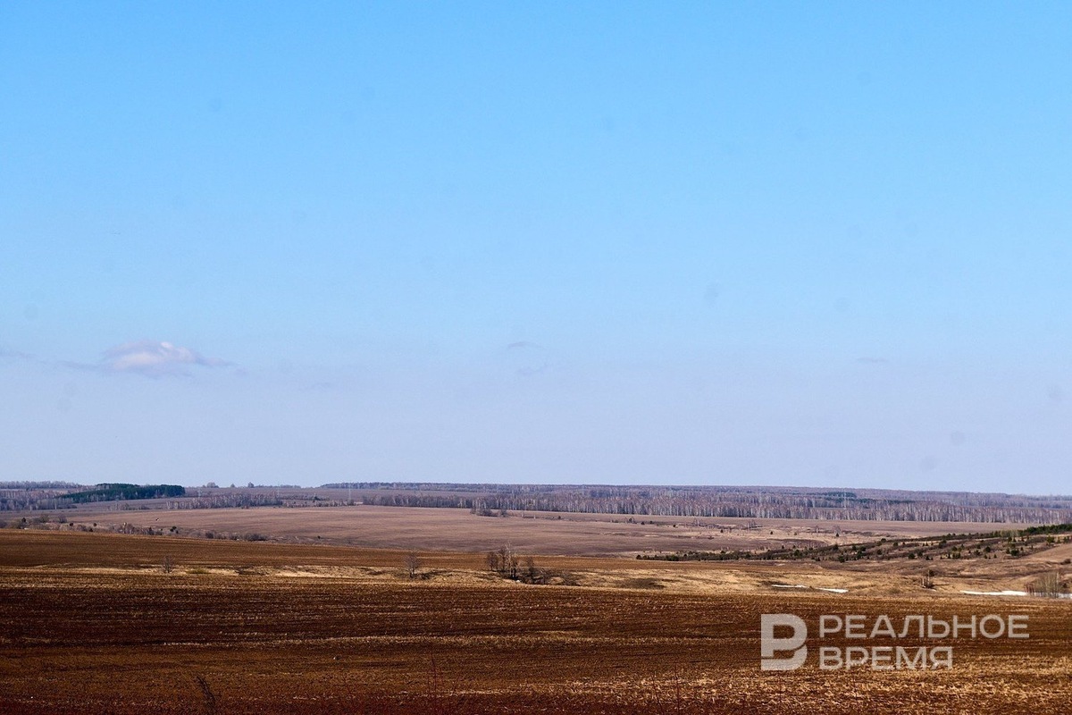   Динар Фатыхов / realnoevremya.ru