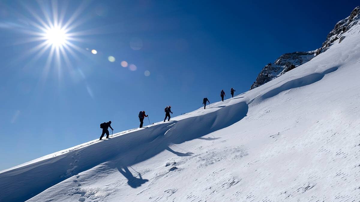    Фото: Shutterstock