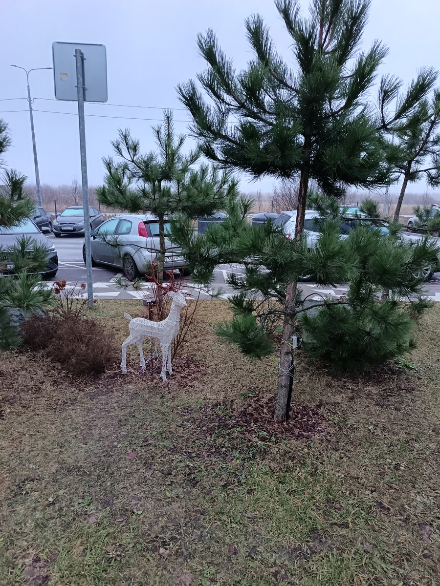 Фото автора статьи 