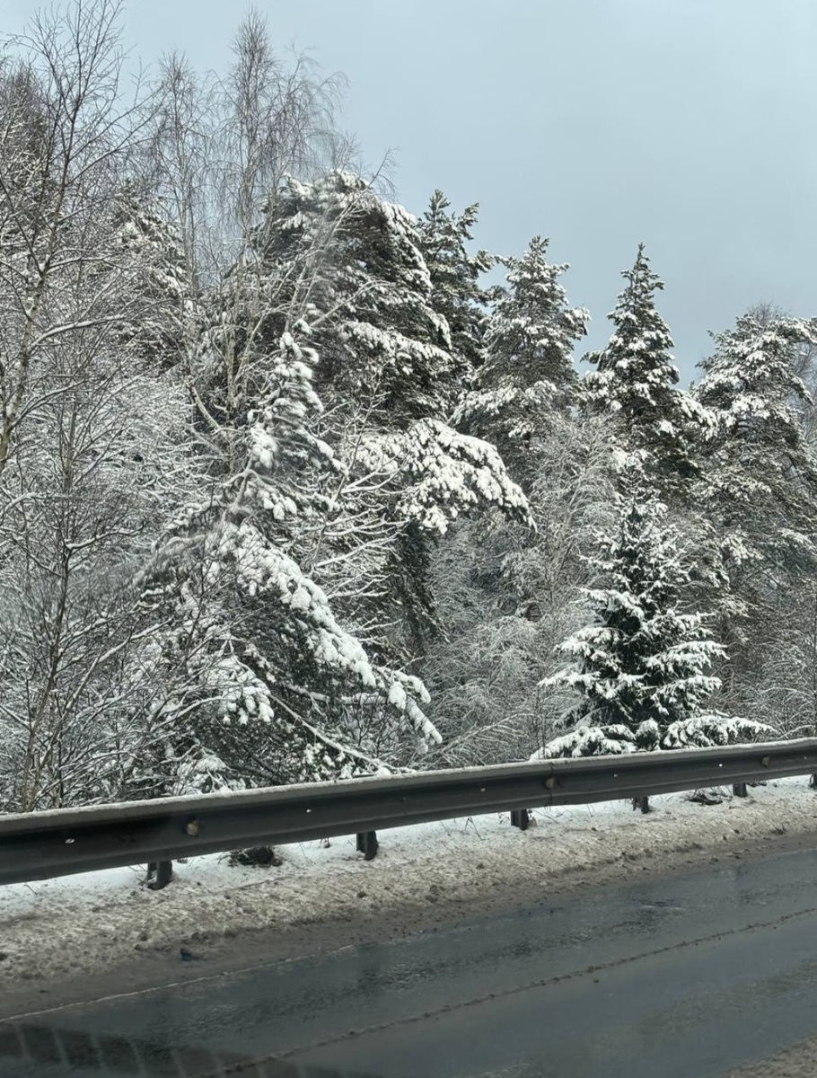 Зима в Подмосковье, 27 декабря 2025 год