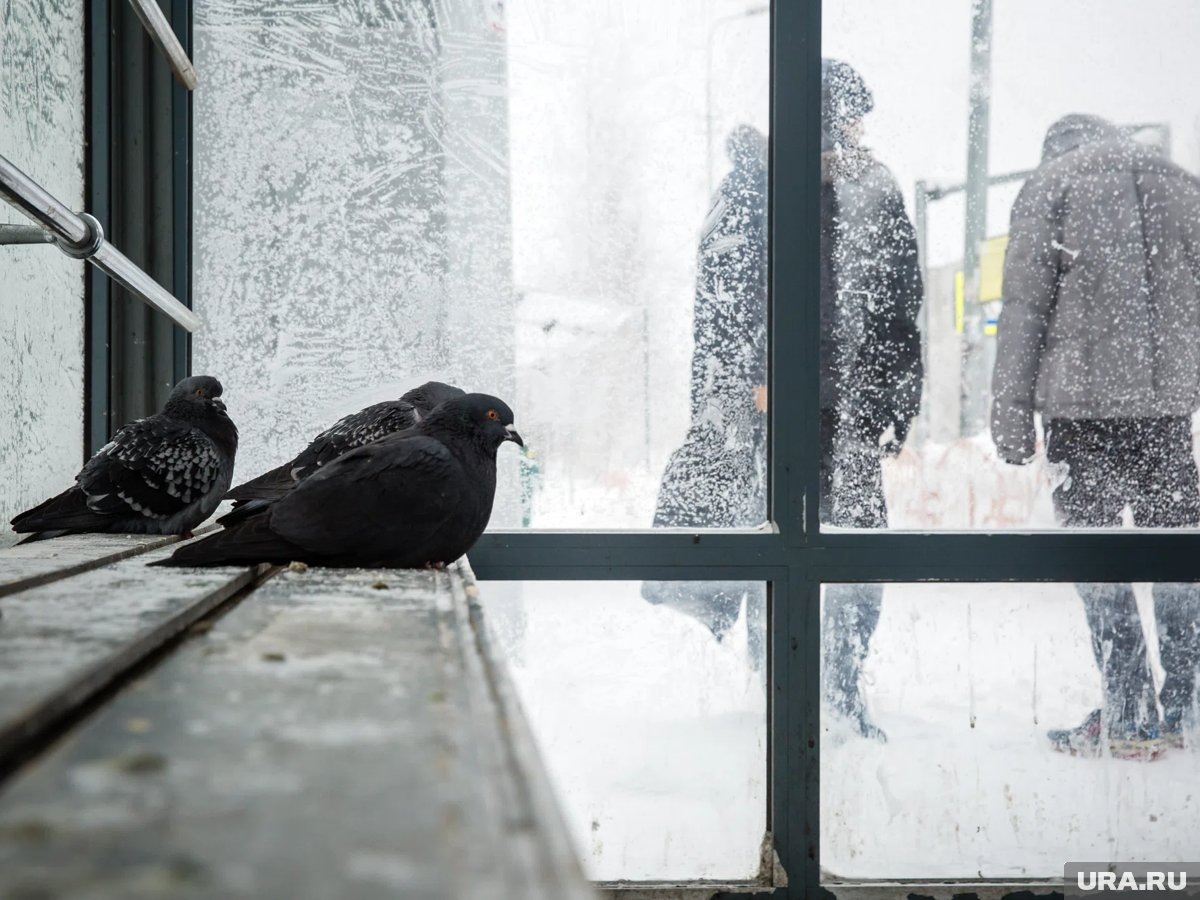     Схему движения автобусных маршрутов изменили из-за порыва трубы