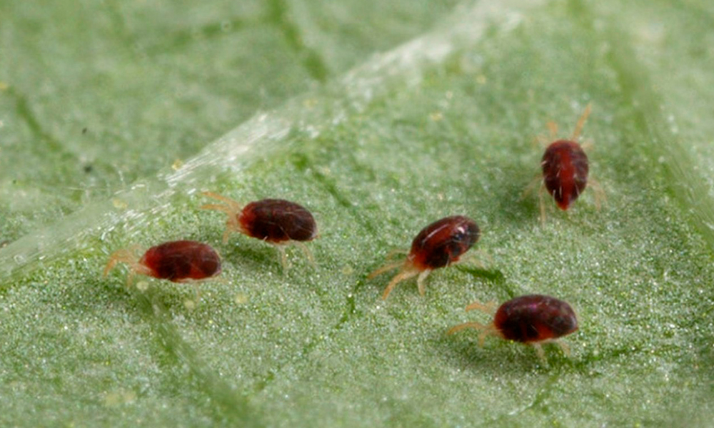 Валим, пока нас опять не заморозили!