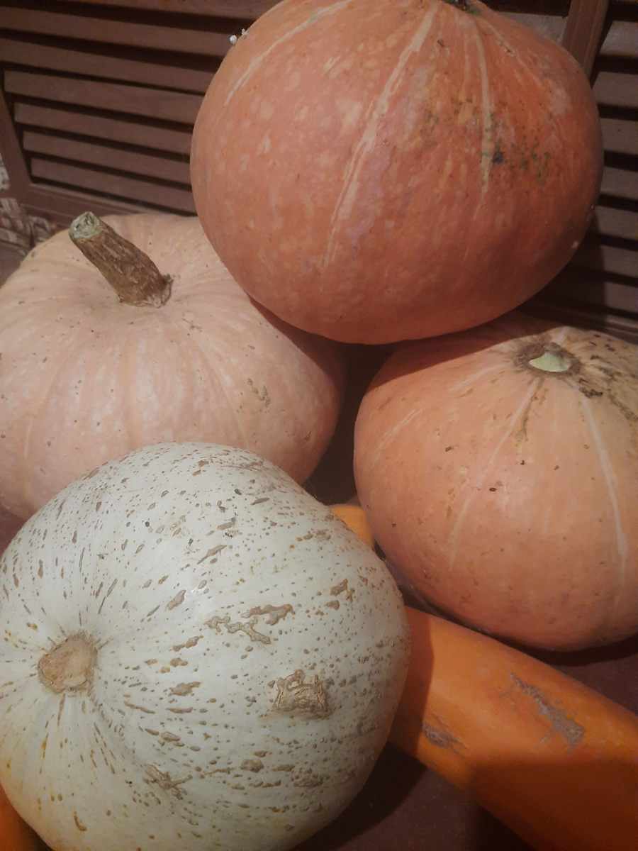 Это все что осталось от урожая