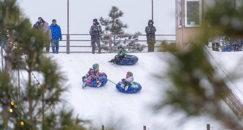    Фото: Центральный парк Волгограда