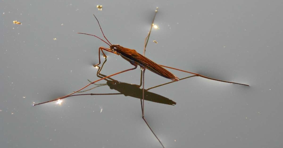 Фотография из интернета