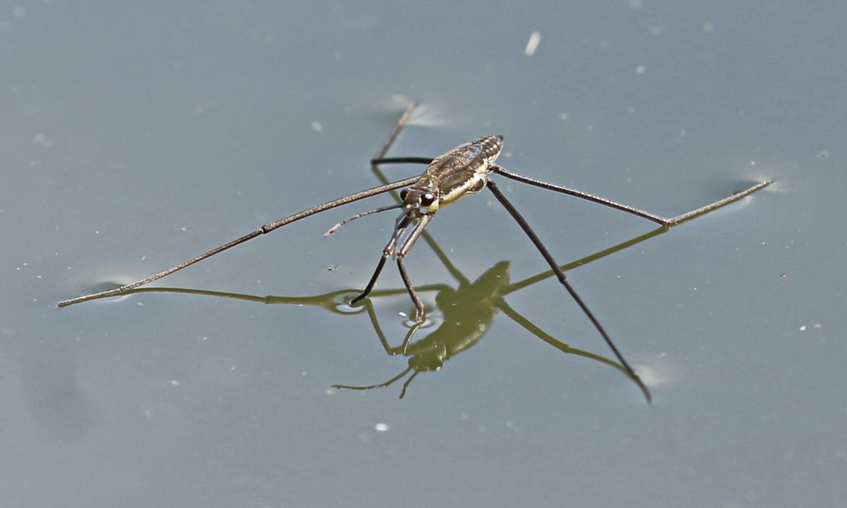 Фотография из интернета