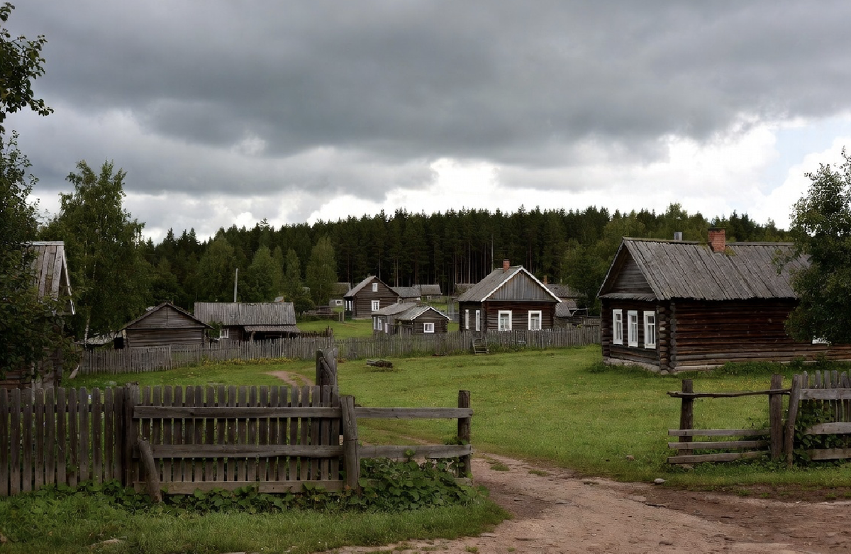 Фото взято из открытого источника