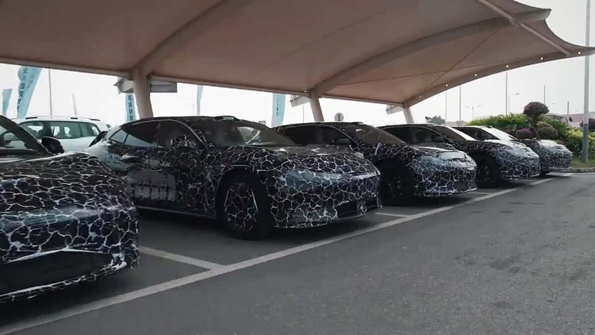 Первенцы Qijing