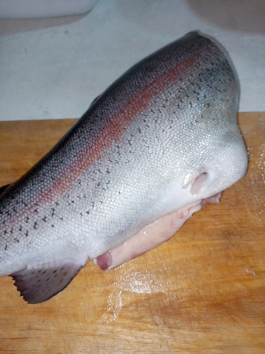 Чистая рыба. 