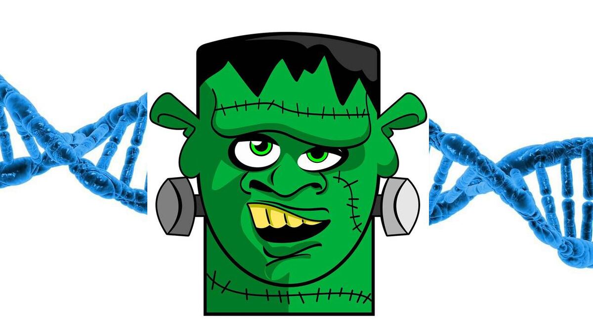 Пчелы Бакфаст