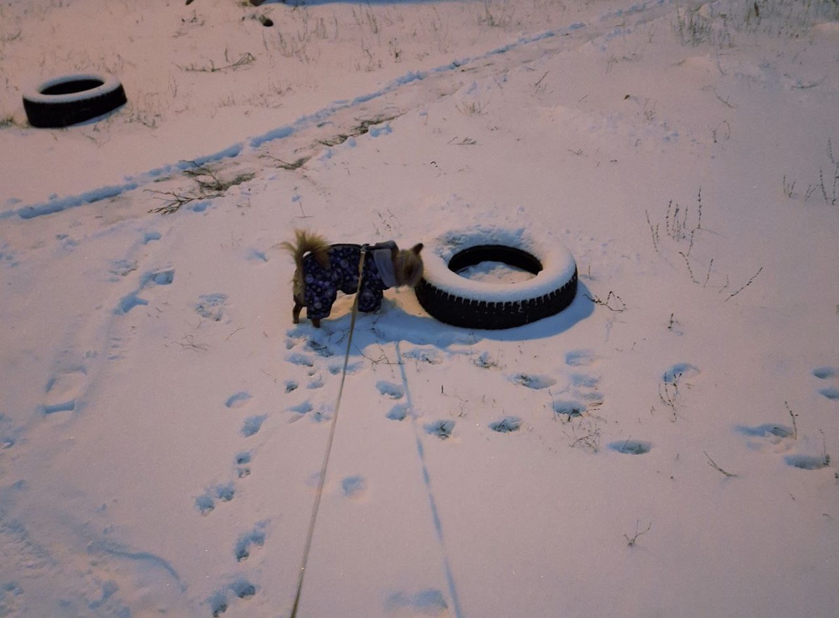 Фото автора.