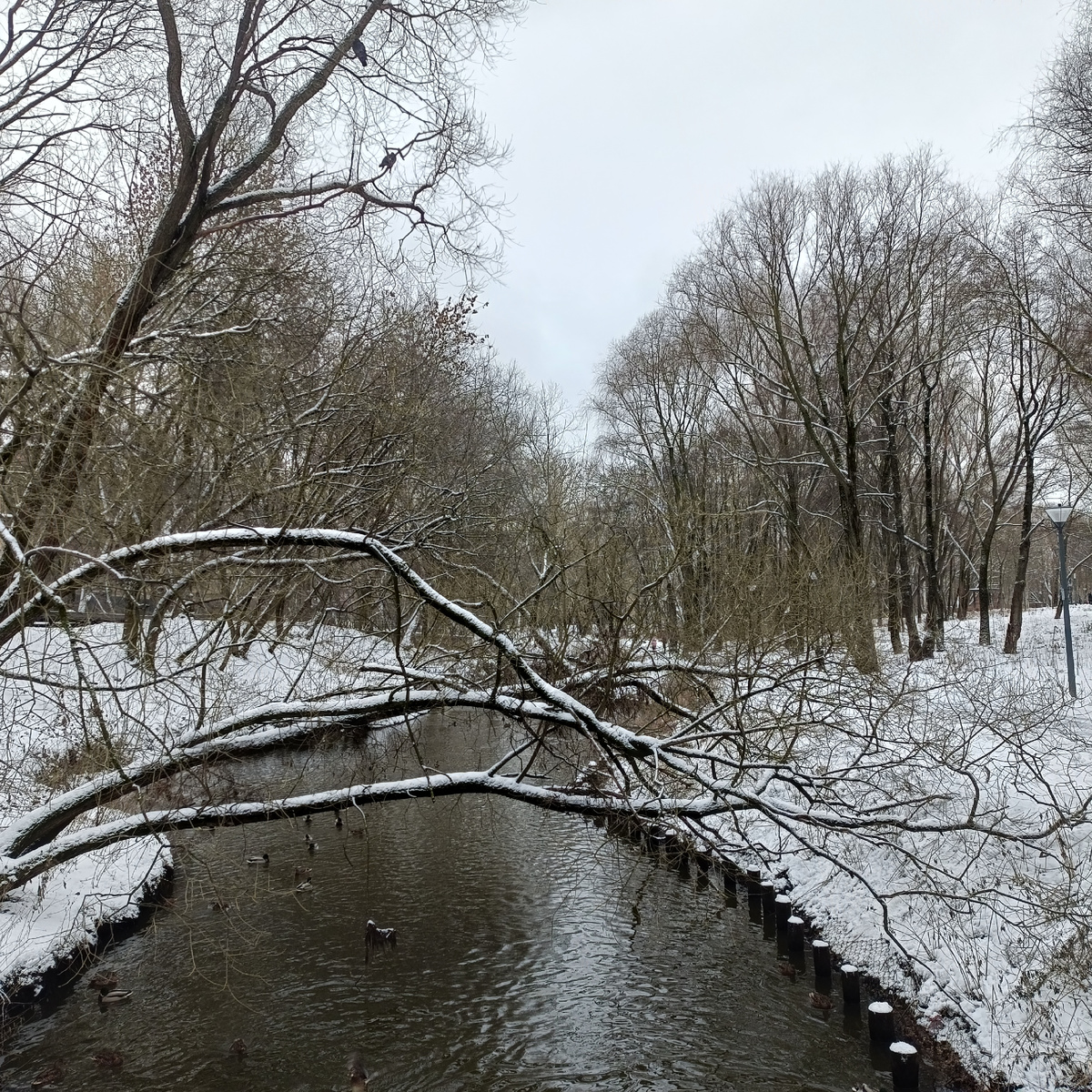 Давно тут Яузы не было