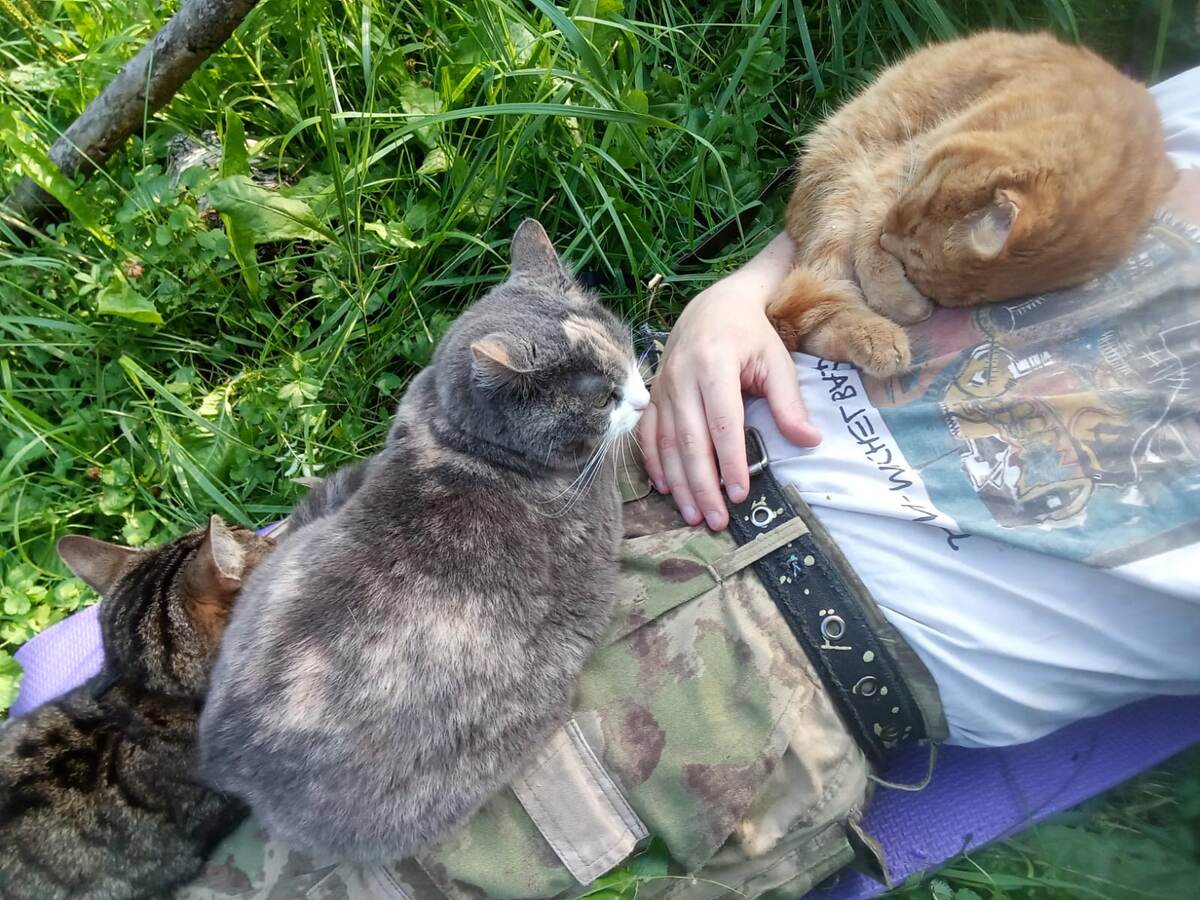 Попытки мужа устроить летнюю сиесту