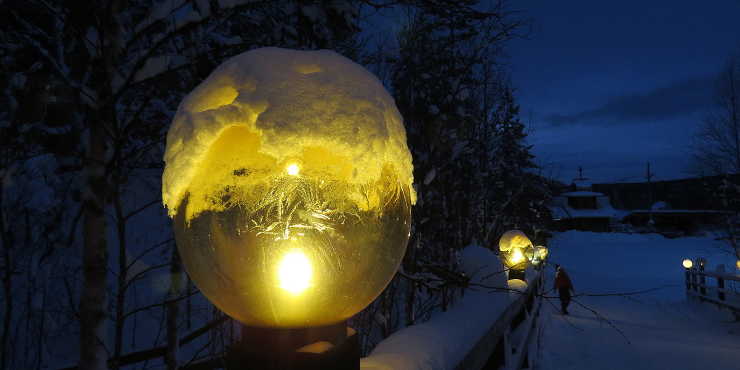 Новый год на рогах: как северные олени сделали праздник