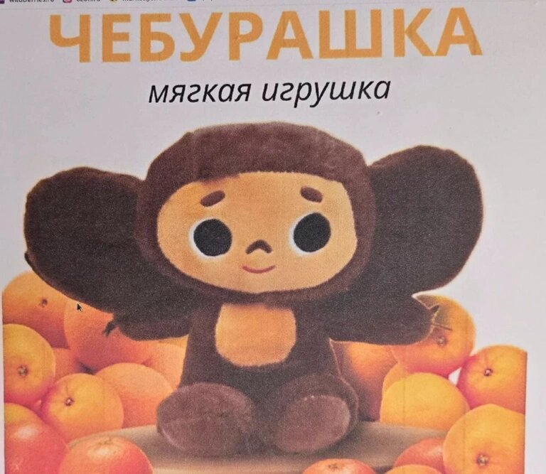 Фото из материалов дела (Фото: Объединенная пресс-служба судов Санкт-Петербурга)