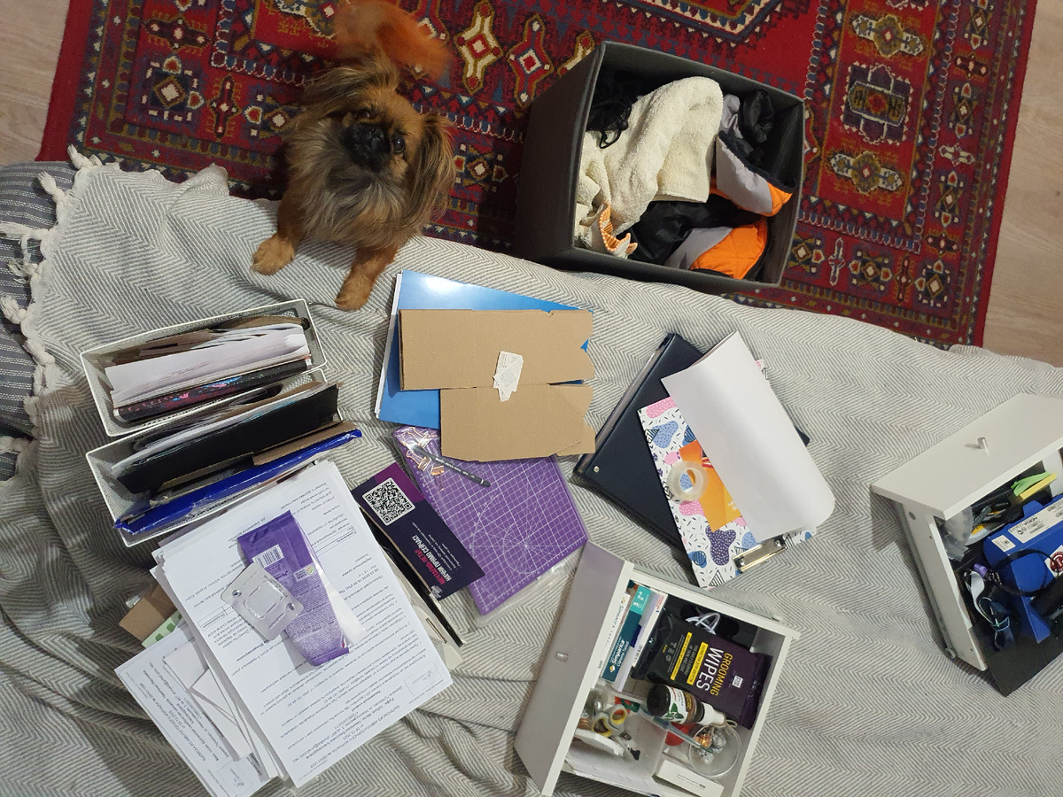 Выгрузила все из стеллажа, Спейсик помогает