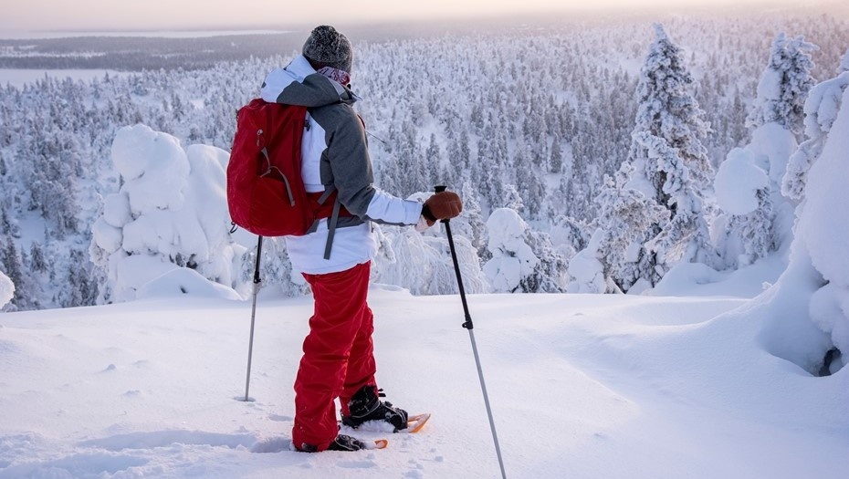    Автор фото: Tanhu/Shutterstock/FOTODOM