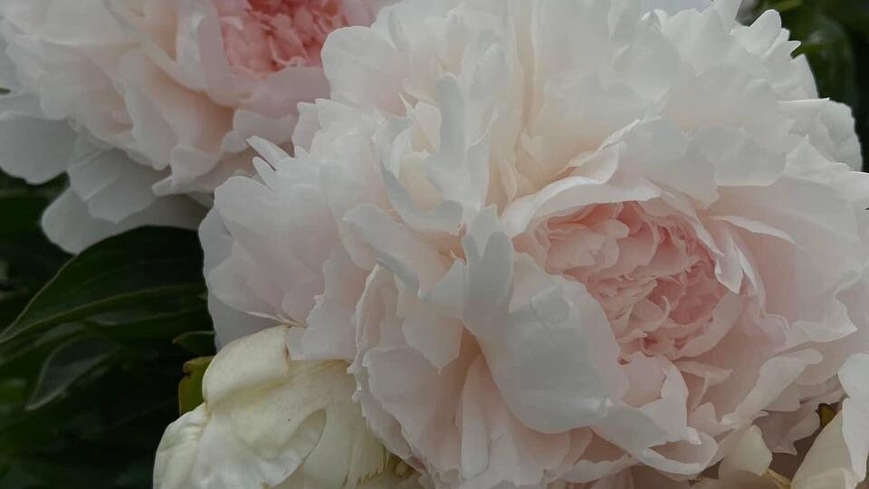 Предложение 🍁ОСЕНЬ🍁 2️⃣0️⃣2