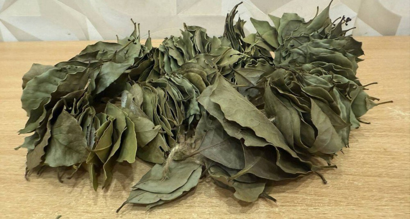    Из архива редакции