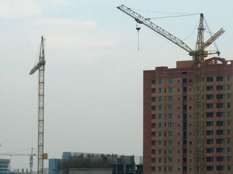     Фото: Илья Шабардин