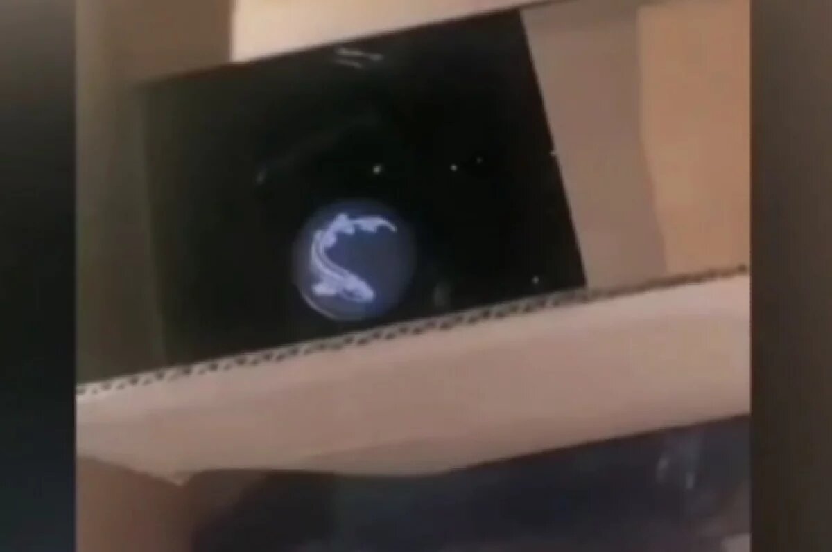    В Ленобласти иностранец попался на незаконном обороте алкоголя