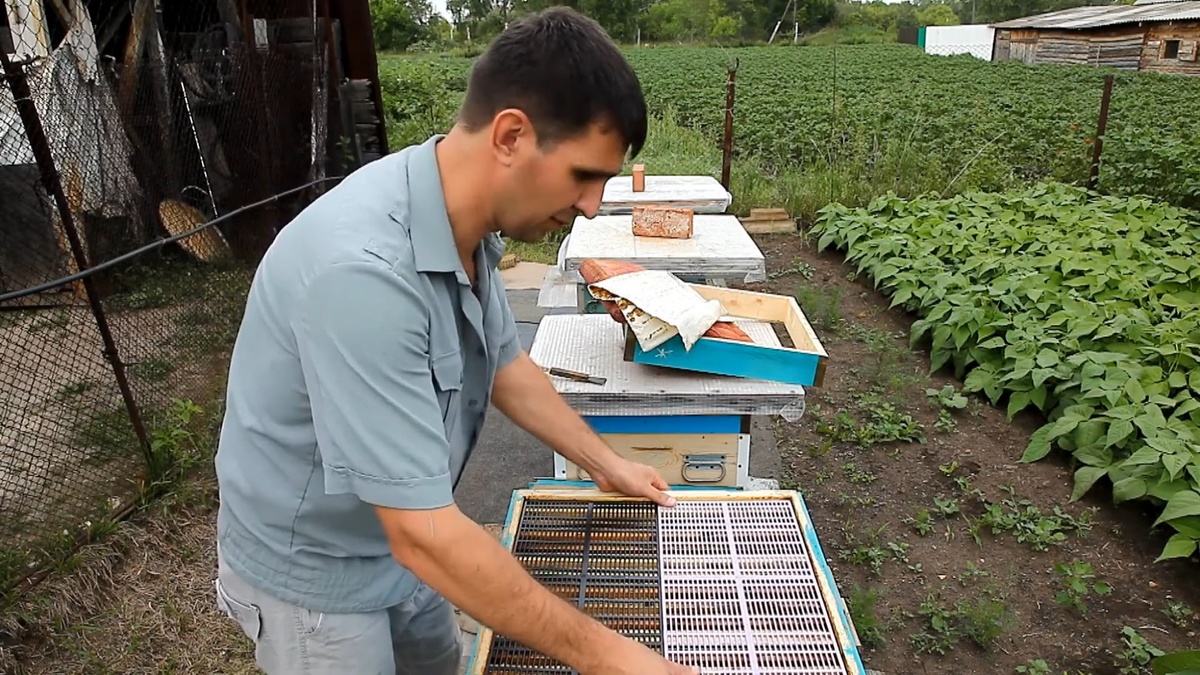 перед медосбором устанавливаю решётки на гнездовой корпус