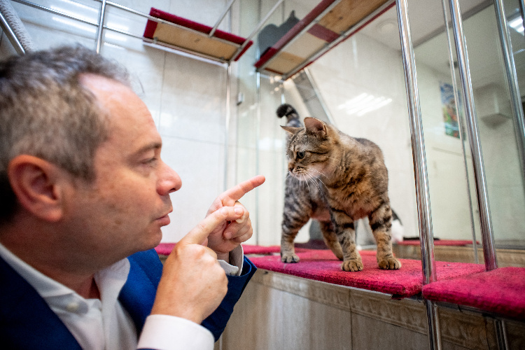    Фото: Юлия Федотова