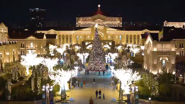    © Telegram Михаил Развожаев