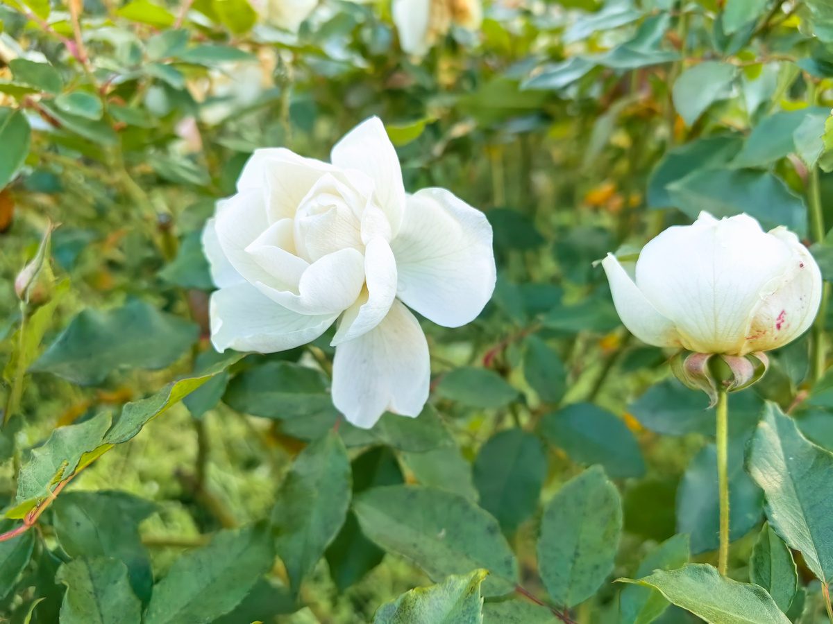 Фото автора канала