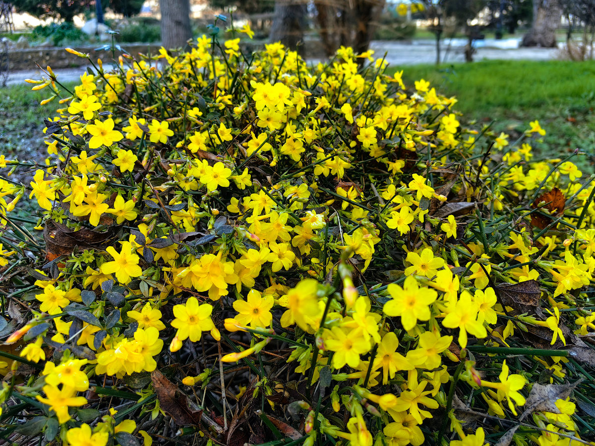 Фото автора канала