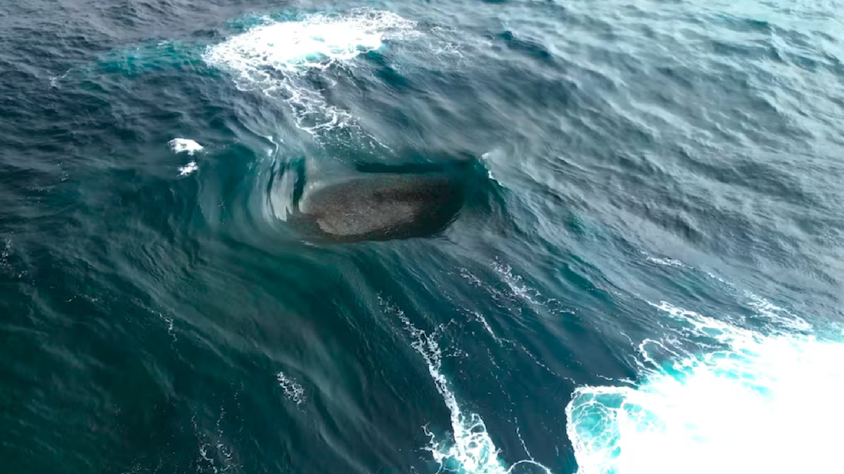 Фигура первая. До схлопывания воды
