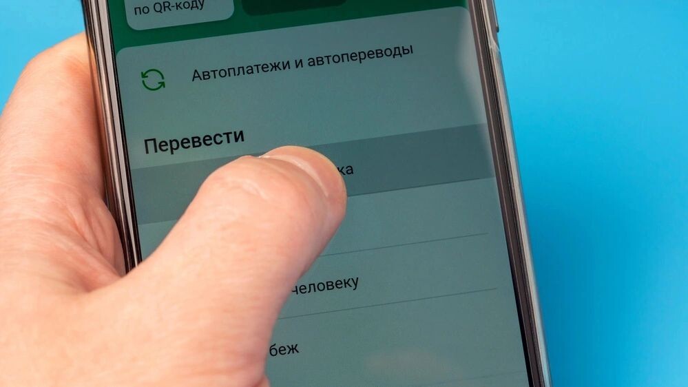    Фото: Sergei Gorin/Shutterstock/Fotodom