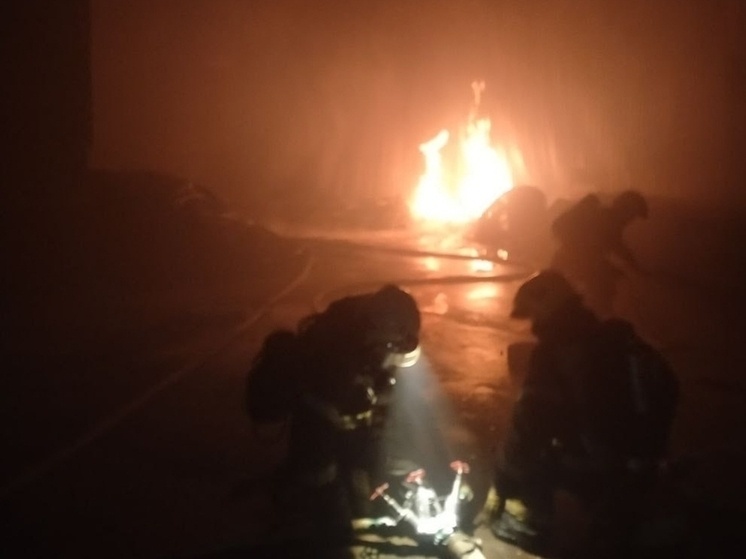     Фото: пресс-служба МЧС Калининградской области.