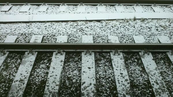    CC BY-SA 2.0 / Marjolein Katsma / First snow