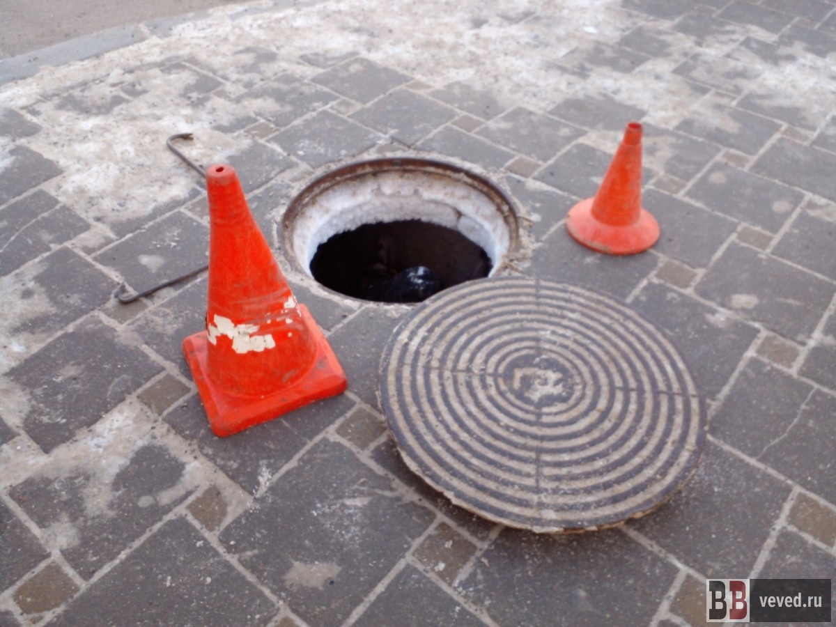     Фото: Юлия Медведева / Вечерние ведомости